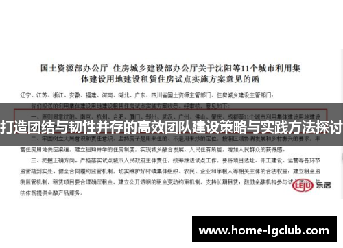 打造团结与韧性并存的高效团队建设策略与实践方法探讨